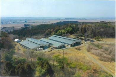 一関市花泉町油島字上伊沢黒
４２番１０の競売物件