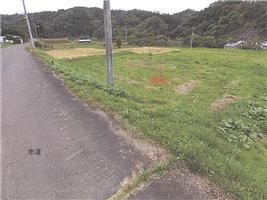 花巻市東和町北成島１区１９９番１の競売物件