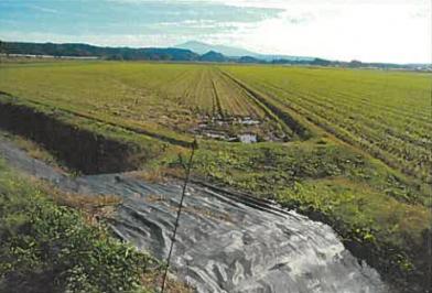 由利本荘市内越字平岡
６９６番の競売物件