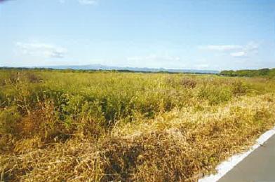 上北郡七戸町字舟場向川久保
７８３番２の競売物件
