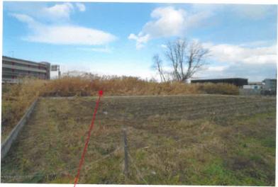 弘前市大字福村字早稲田
５２番１の競売物件