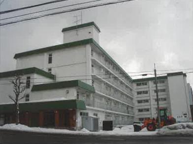札幌市豊平区平岸四条十四丁目　２１９番地３の競売物件