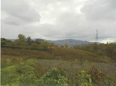 伊達市上館山町
１４９番１の競売物件