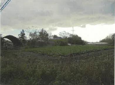 伊達市東関内町
９８番１の競売物件