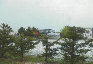 余市郡余市町黒川町十八丁目
２８番１３の競売物件