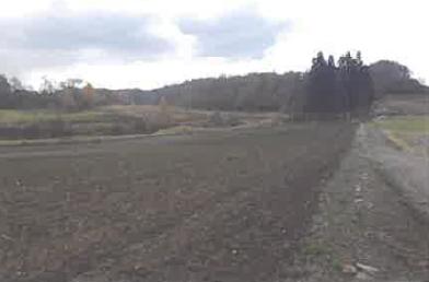 檜山郡厚沢部町字中館
４１３番１の競売物件