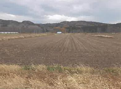 檜山郡厚沢部町字富栄
８３６番の競売物件