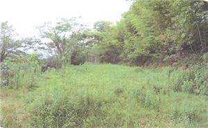 東かがわ市三殿762番2の競売物件