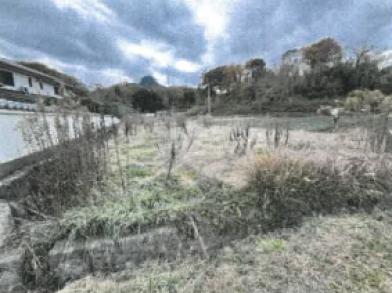 綾歌郡綾川町羽床下字奥谷
８６２番１の競売物件