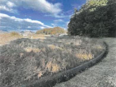 綾歌郡綾川町羽床下字川津
９６６番２の競売物件