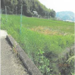阿南市新野町宇井谷
４７６番の競売物件