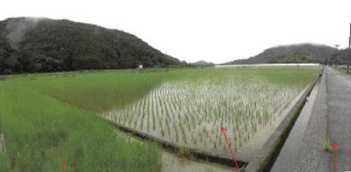 宿毛市二ノ宮字古殿
２０２番１の競売物件