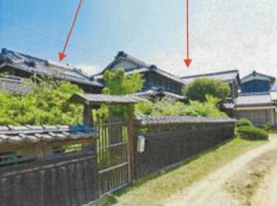 松山市河野別府
３６１番の競売物件