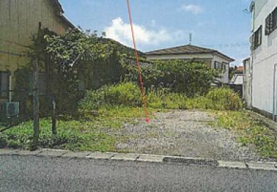 南宇和郡愛南町城辺
甲３１７番１の競売物件