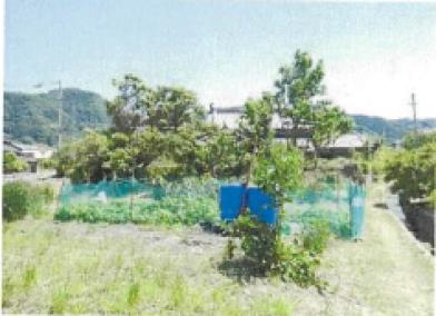 今治市大西町脇
甲５２番１の競売物件
